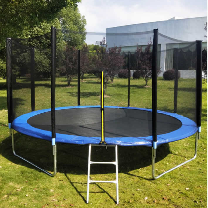 10ft Trampoline With Ladder & with Safety Enclosure Net, Outdoor Trampoline with Heavy Duty Jumping Mat and Spring Cover Padding for Kids & Adults